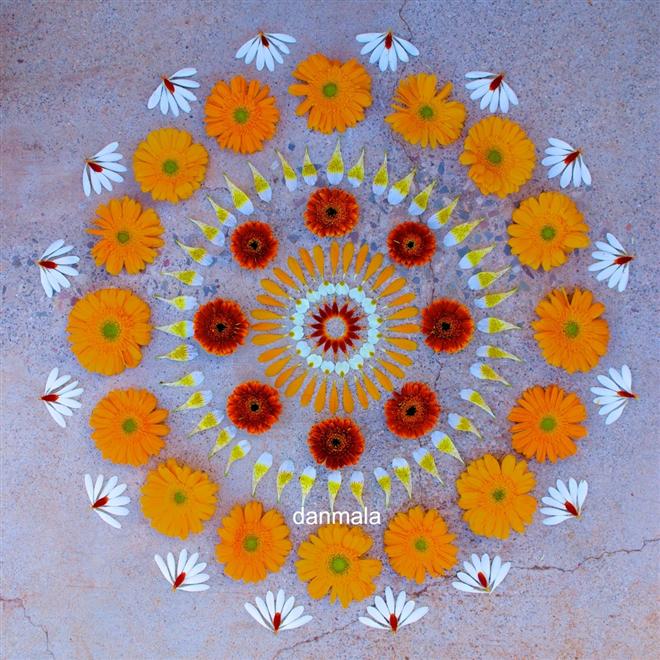 هنرنمايي هاي شگفت انگيز با گلبرگ ها توسط دن مالا
